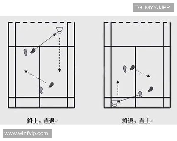 北京羽毛球队在冠军赛中的战术运用与表现分析
