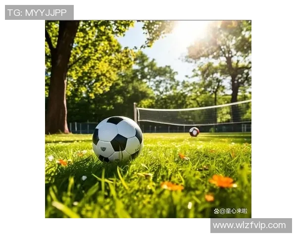 追寻绿茵传奇：一位年轻球迷与足球明星的奇幻冒险之旅